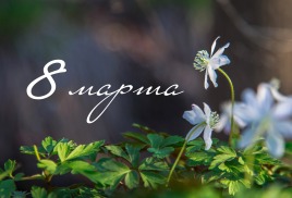 С Международным женским днем!