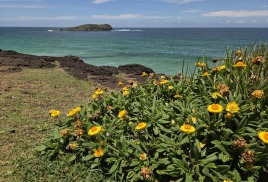 Остров Кука: история открытия и память о первопроходцев