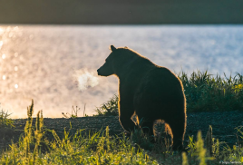 Как сделать лучший кадр России? Эксперты поделятся секретами победы в фотоконкурсе «Самая красивая страна»