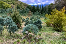 В жизни надо быть пчелой - собирать лучшее