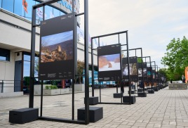 Председатель ОИАК принял участие в открытии фотовыставки фестиваля «Золотая черепаха»